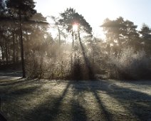 Sunshine on the Lickey Hills Sun breaking through the morning frost at the Lickey Hills.